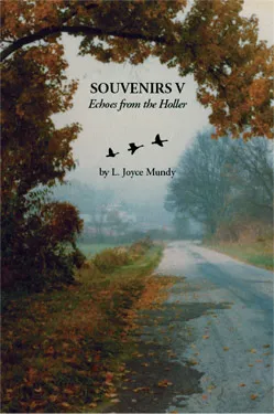 Souvenirs V: Echoes from the Holler