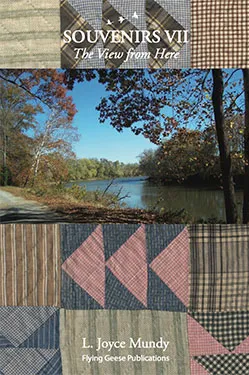 Souvenirs VII: The View From Here